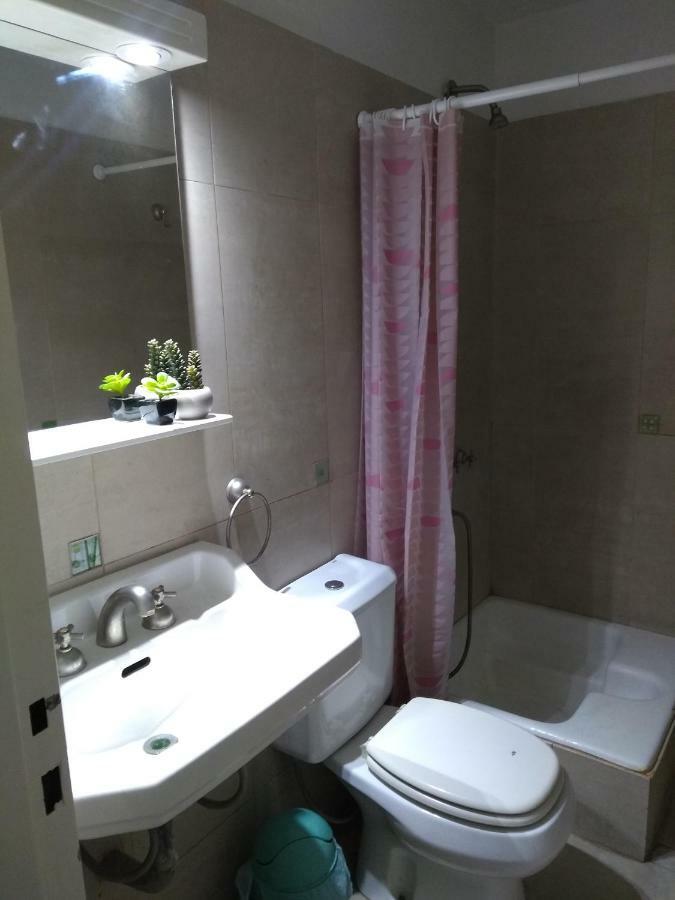 Cozy III Loft En Pleno Centro De Mendoza Vandrehjem Eksteriør billede