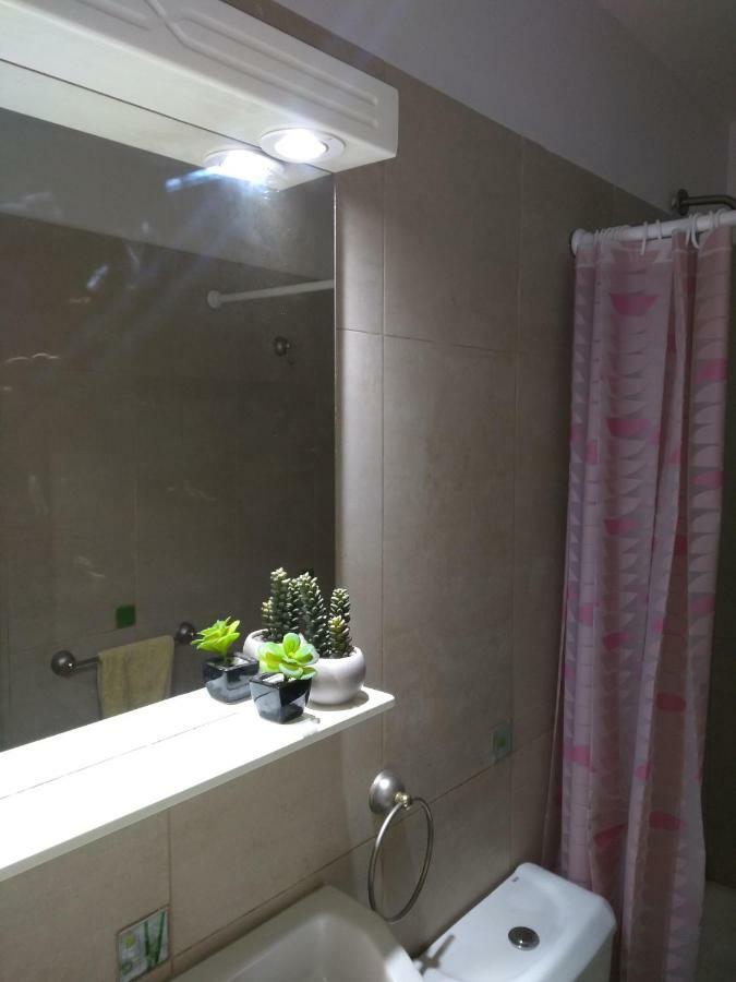 Cozy III Loft En Pleno Centro De Mendoza Vandrehjem Eksteriør billede